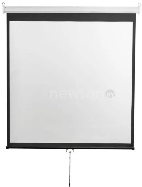 Проекционный экран Digis Optimal-D 308x177 DSOD-16907