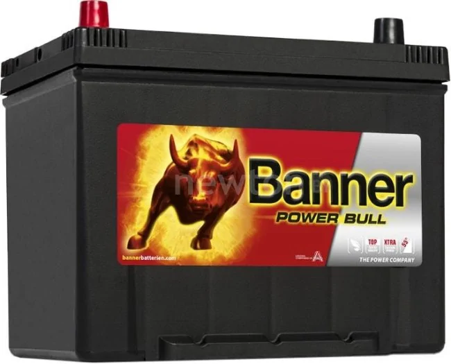 Автомобильный аккумулятор Banner Power Bull P70 24 (70 А·ч)