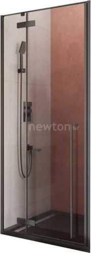 Душевая дверь Cezares LINER-B-12-90-C-NERO-L