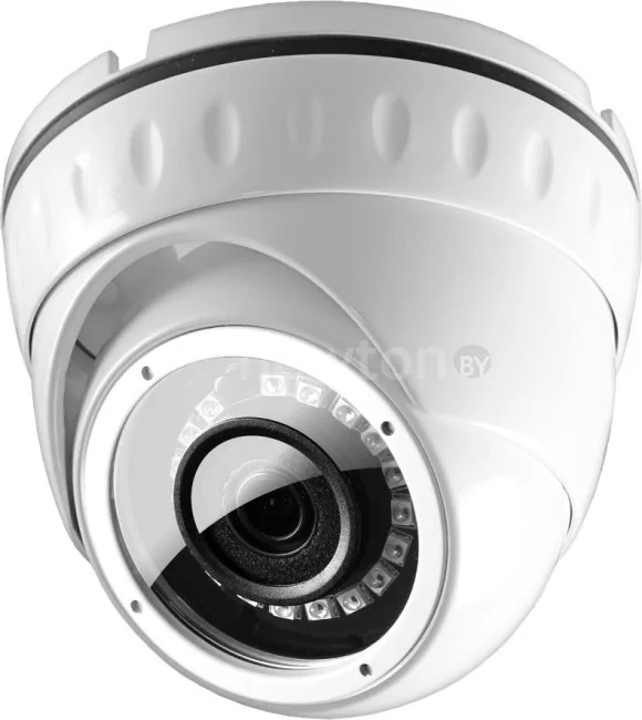 CCTV-камера Ginzzu HAD-2035O (белый)