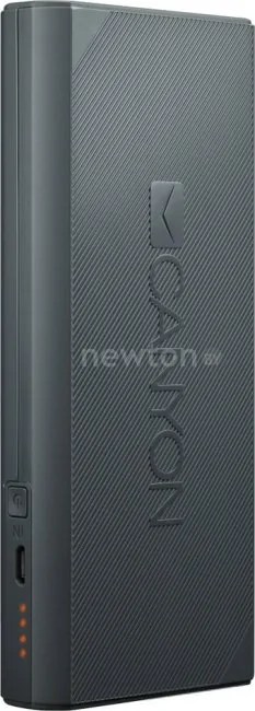 Портативное зарядное устройство Canyon CNE-CPBF100DG