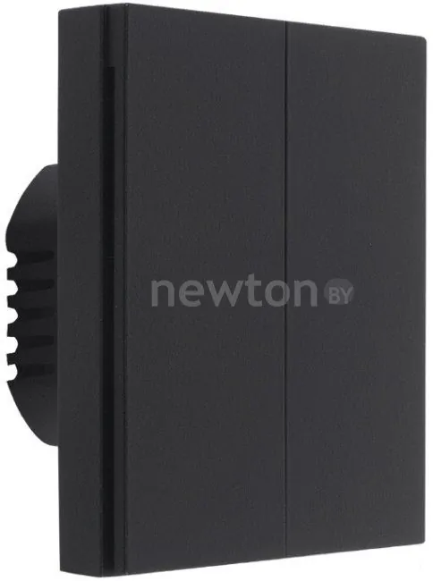 Выключатель Aqara Smart Wall Switch H1 двухклавишный без нейтрали (черный)