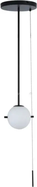 Подвесная люстра LOFT IT Signal 10029PS Black