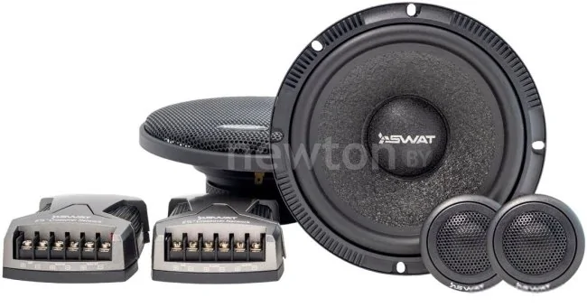 Компонентная АС Swat SP-R165