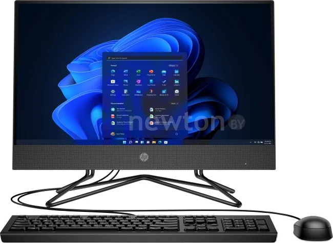 Моноблок HP 205 G4 295F0EA