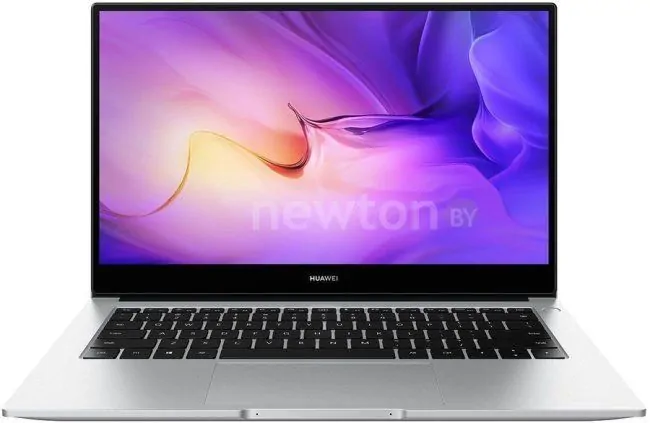 Ноутбук Huawei MateBook D 14 2021 NbD-WDH9 53013ERM