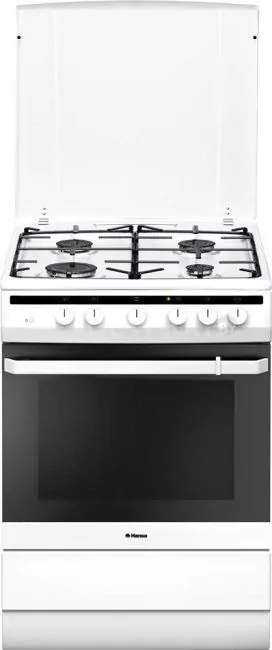 Кухонная плита Hansa FCGW63100