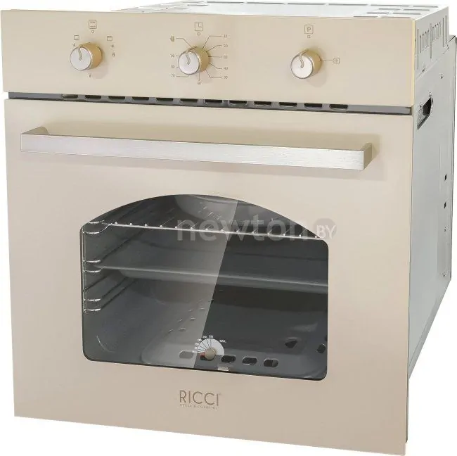 Газовый духовой шкаф Ricci RGO-611BG