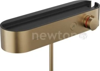 Смеситель Hansgrohe 24360140
