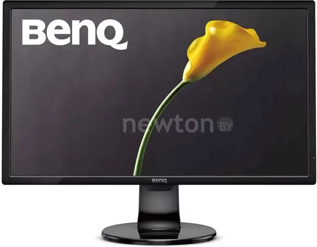Монитор BenQ GL2460BH
