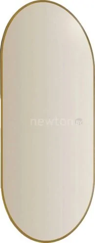 Silver Mirrors Зеркало Viva Gold 55x105 LED-00002690