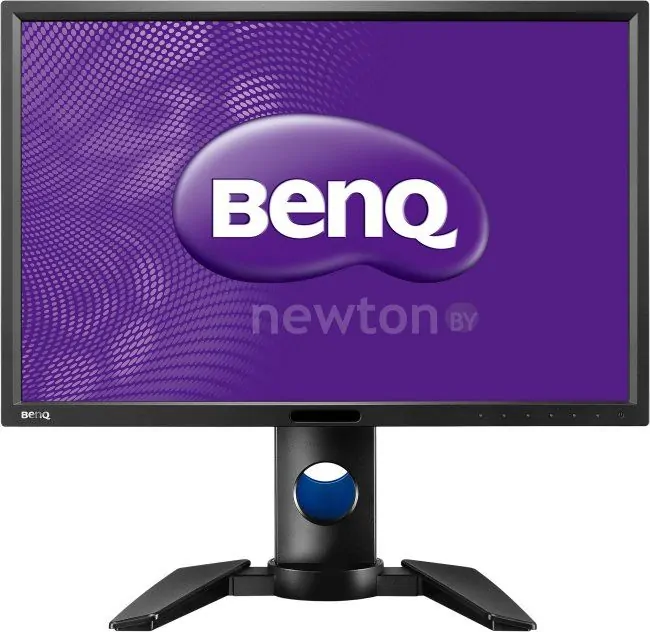 Монитор BenQ PG2401PT