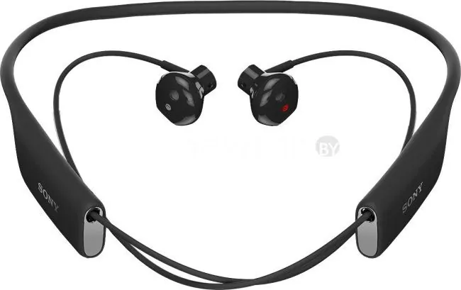 Наушники с микрофоном Sony SBH70 (черный)