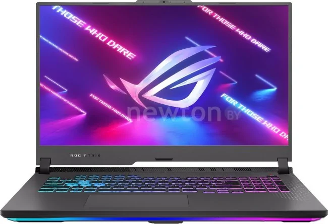 Игровой ноутбук ASUS ROG Strix G17 2023 G713PU-LL070