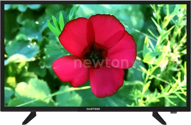 Телевизор Hartens HTV-32HDR03B