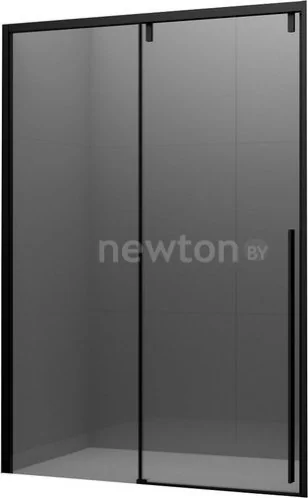 Душевая дверь Ambassador Intense 140x200 110022203IBB