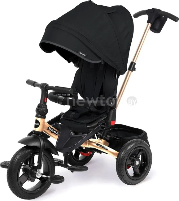 Детский велосипед Moby Kids Leader 360° 12x10 AIR (черный)