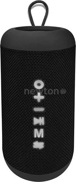 Беспроводная колонка Soundmax SM-PS5012B