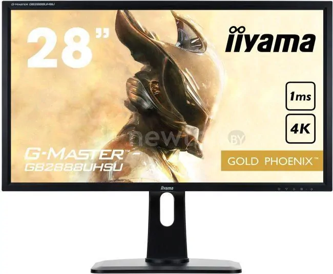 Игровой монитор Iiyama G-MASTER GB2888UHSU-B1