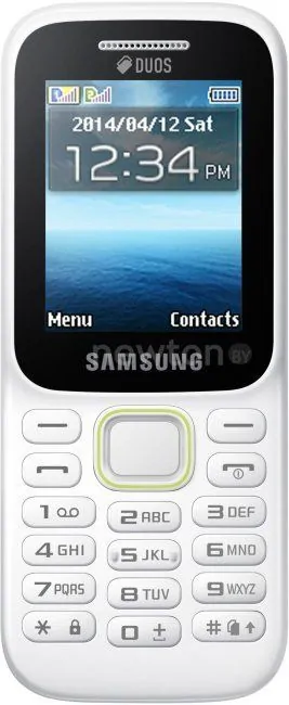 Телефон Samsung Guru Music 2 (B310E)