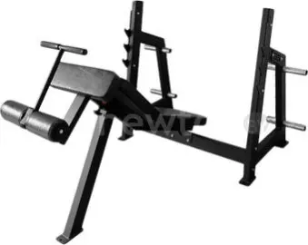 Силовая скамья Bronze Gym AL-306