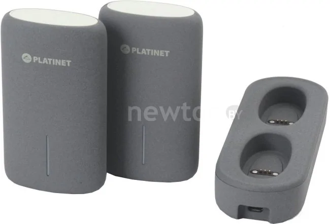 Портативное зарядное устройство Platinet PMPB5DG
