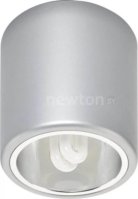 Лампа Nowodvorski Downlight silver M [4868]