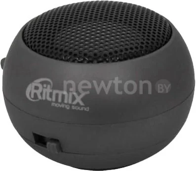 Портативная колонка Ritmix SP-050 (черный)