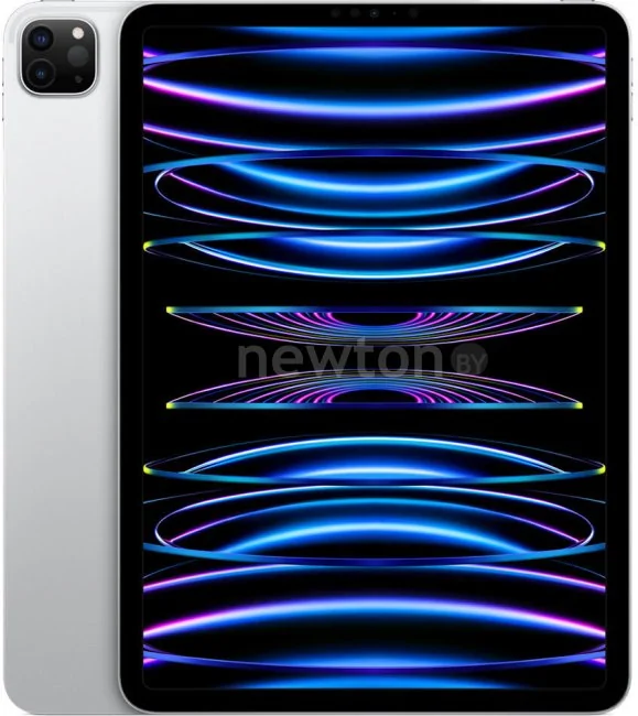 Планшет Apple iPad Pro 11" 2022 2TB MNXN3 (серебристый)