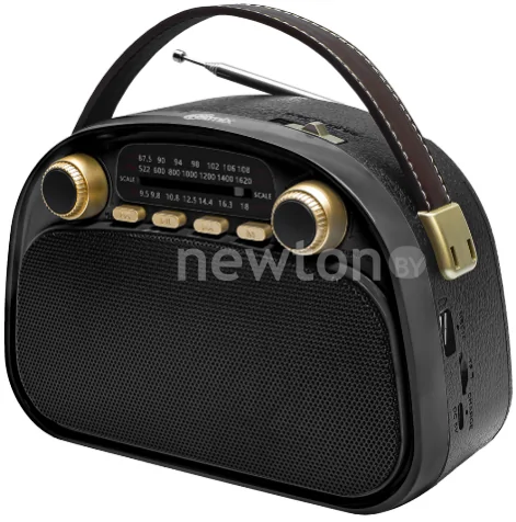Радиоприемник Ritmix RPR-040 (черный)