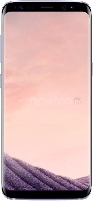 Телефон Samsung Galaxy S8 Dual SIM 64GB (мистический аметист) [G950FD]