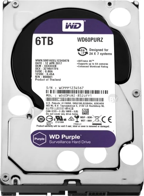 Жесткий диск WD Purple 6TB [WD60PURZ]