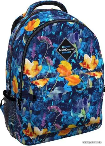 Школьный рюкзак Erich Krause EasyLine 20L Watercolor 51630