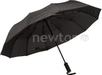 Зонт Rain Berry 734-31203.1 (черный)