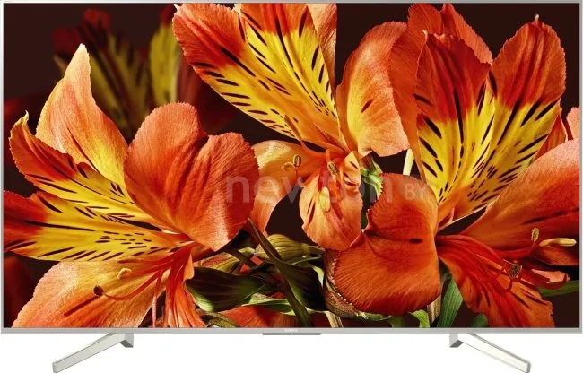 Телевизор Sony KD-65XF8577