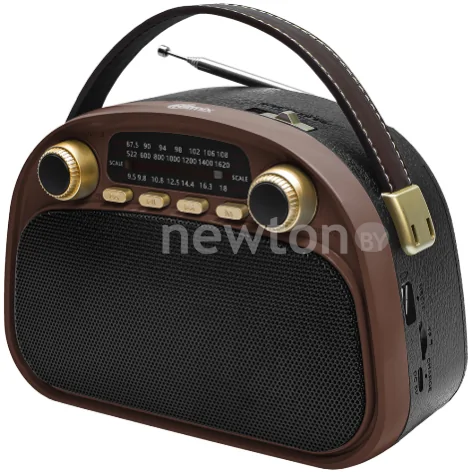 Радиоприемник Ritmix RPR-040 (шоколадный)