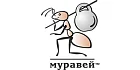 Муравей