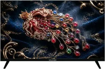 Телевизор WildRed 24QWS9001
