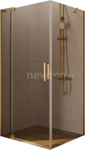 Душевой уголок Cezares SLIDER-AH-1-80-100/110-BR-BORO
