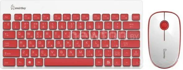 Мышь + клавиатура SmartBuy 220349AG [SBC-220349AG-RW]