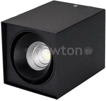 Точечный светильник Arlight SP-CUBUS-S100x100BK-11W Day 023081