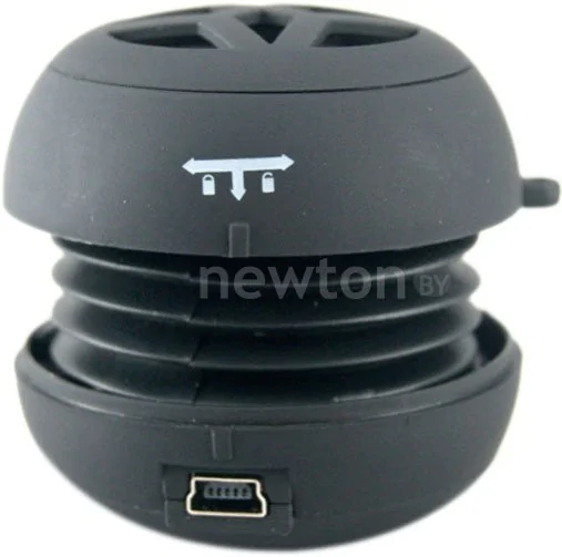 Портативная колонка Ritmix SP-050-2
