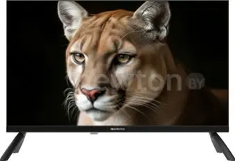 Телевизор Topdevice 24" TDWC24BH1000I
