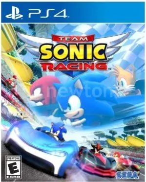 Игра PlayStation 4 Team Sonic Racing