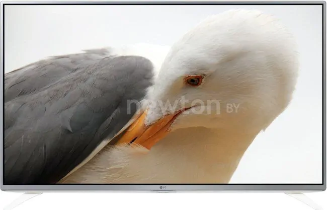 Телевизор LG 43LF590V