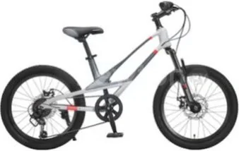 Детский велосипед Montasen MB12B-20GR (серый)