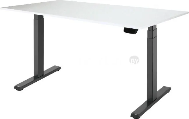 Стол для работы стоя ErgoSmart Ergo Desk Pro 1380x800x18 мм (альпийский белый/черный)