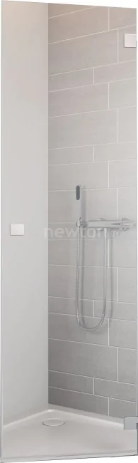 Душевая дверь Radaway Essenza New PTJ 60 R