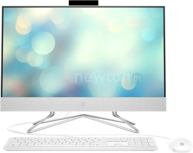 Моноблок HP 24-df0125ur 496X7EA