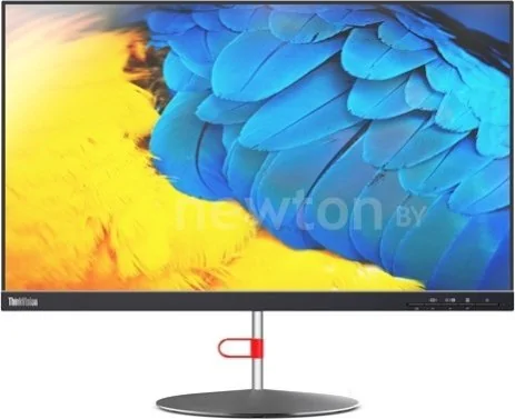 Монитор Lenovo ThinkVision X24-20 61BDGAT3EU